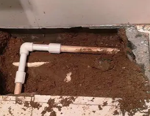 荔湾测漏水哪家好