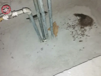 荔湾卫生间测漏水价格明细