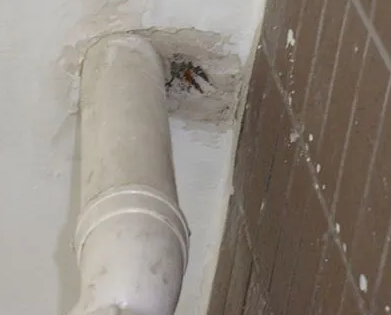 荔湾漏水检测哪家好